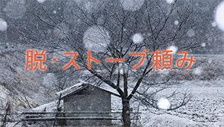 EEXg[u
