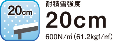 ʒnp600^Cv