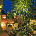 GNXeACgʁiBisaijFGarden