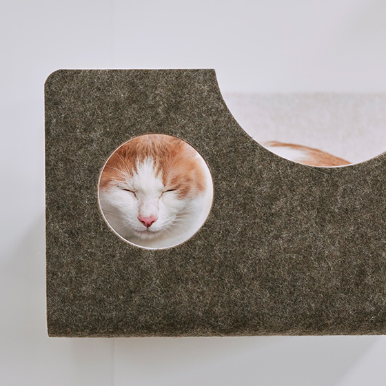 猫にもやさしい