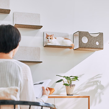 施工イメージ