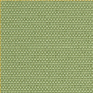 CG[O[