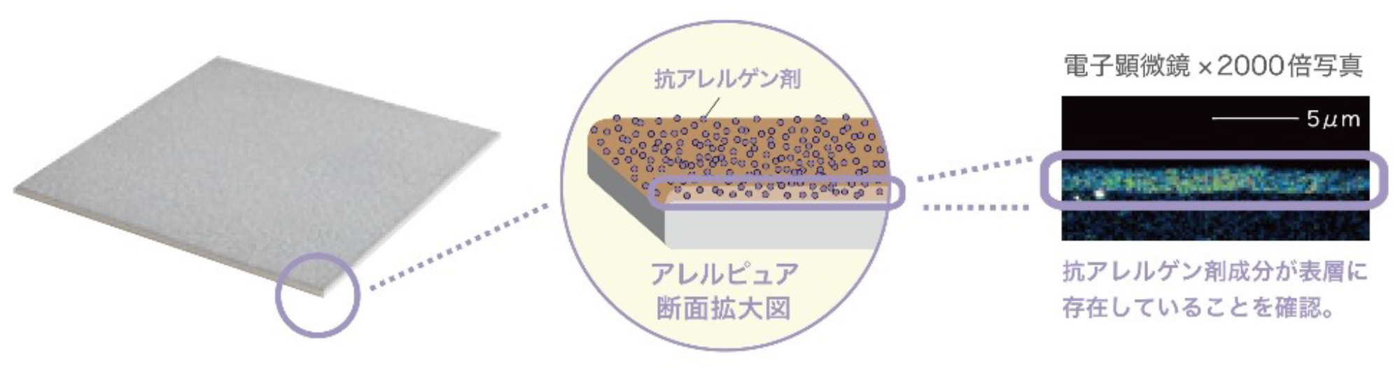 （図１）環境アレルゲンが「アレルピュア」に触れると、タイル表面にコーティングされた抗アレルゲン剤がその働きを抑制します。