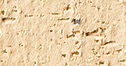BRC-1603