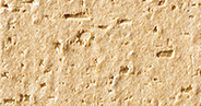 BRC-1604