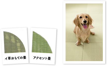 ϖՎ