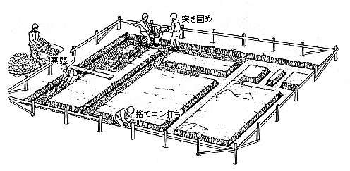n(傤)