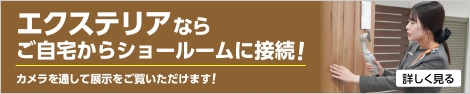 GNXeAȂ炲V[[ɐڑI